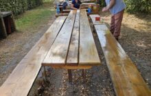 Sommer, Herbst und Winter auf der Dingel….