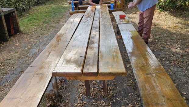 Sommer, Herbst und Winter auf der Dingel….